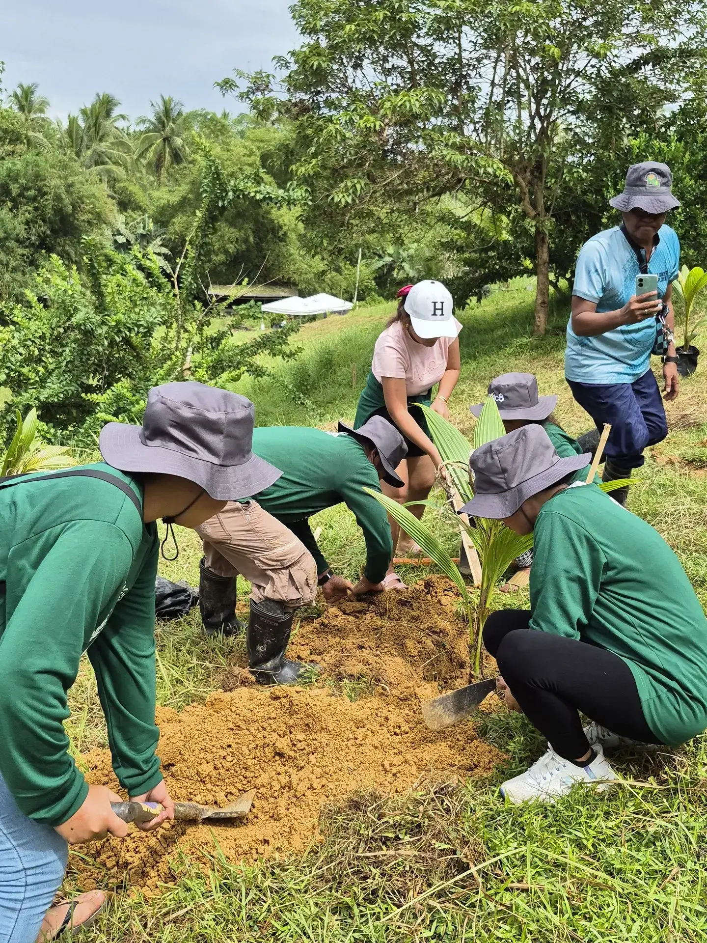 Sapura hibiscus coconut sap drink with floral notes